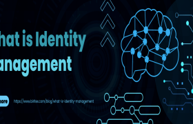 What is Identity Management?